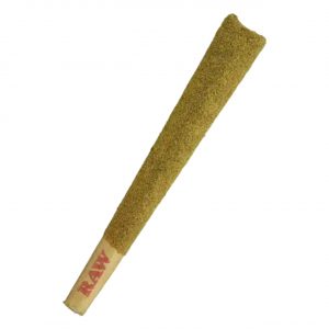 STNR Knockout Blend Pre-Rolls - 12PK